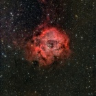 『投稿：FRA400によるバラ星雲とZTF彗星＆FRA300による散光星雲　2023/02/19』の画像