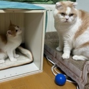 メルシーの誕生日は30枚の写真でお祝い～♪