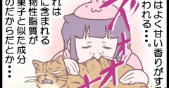 猫って甘い香りがするのぉ？のまき