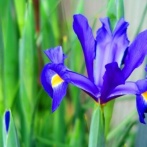 【画像】部落「部落差別問題を理解してない人が多すぎる。こちらをご覧ください･････。」→！