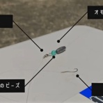 淡路島の西浦へようこそ！