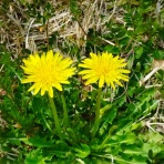 意識改革最前線の日々