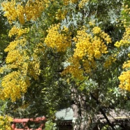 母の執念で晴れた日(笑)♪