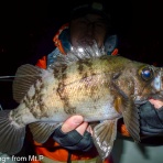 Flyfishing+ from Mt.Pigeons!