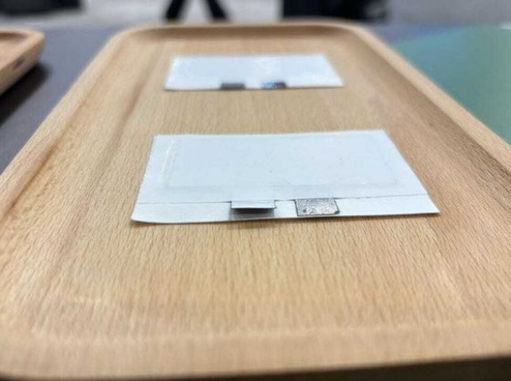 植物由来の「紙の電池」ついに実用化へ…外来種駆除の一石二鳥も視野に！