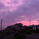 『うみと一緒に海へ行く』の画像