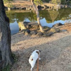 アボちゃんのアボカドブログ