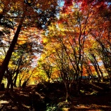 『2025『越畑ふるさと村』哀愁漂う風景❻ 岡山県苫田郡鏡野町』の画像