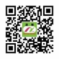 南丹選手権速報