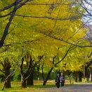 「千秋楽」という言葉