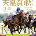 天皇賞秋2025年 徹底分析 3歳馬vs古馬の頂上決戦!