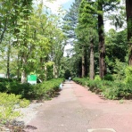 Ancient Botanical Garden