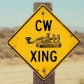 期待の新イベントCW XING（クロッシング）