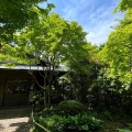 5月13日のお稽古ー平花月之式、濃茶薄茶平点前