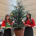 クラブにクリスマスツリーが来ました♪