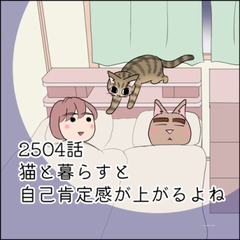 あんこ＆麦2504 猫と暮らすと自己肯定感が上がるよね