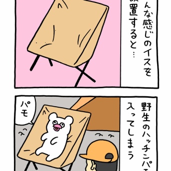 絶滅寸前の動物ハッチンパモス「キャンプ」