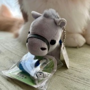 セリアで買った110円の馬グッズ（その2）～♪