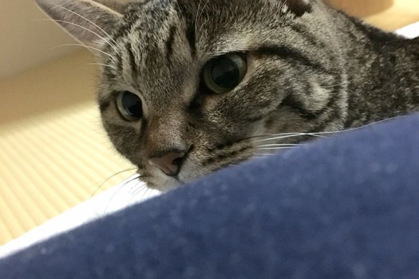 Totojijilife トトさんとジジさんがいる生活