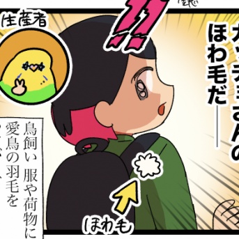 服にインコの羽毛がついてるとなんだか嬉しくなる 2026