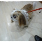 いつまでも一緒だよ♪