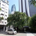 新宿ペンギンバザール＆常圓寺