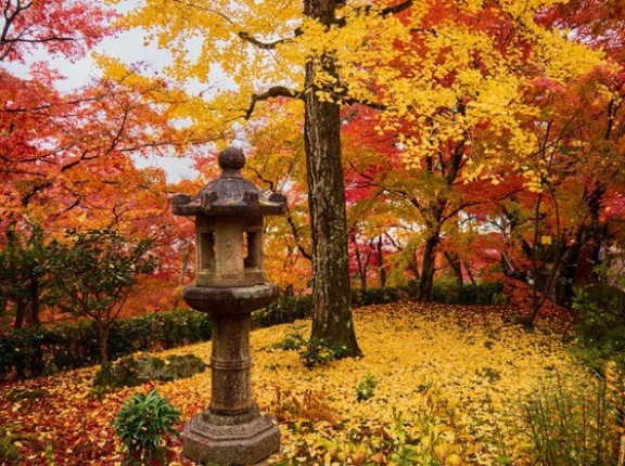 海外「紅葉に染まる関西はまるで異世界みたいだ！」秋の関西旅行に対する海外の反応