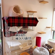 栄華、栄冠のお届けでした♪