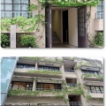 原宿・表参道散策