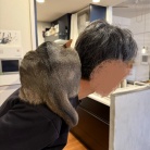 わか坊、中年男性が好きかも？