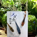 『ボトルアクア参考図書の紹介『メダカの教室 vol.11』』の画像