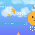 こっそりオクトーバーラン＆ウォーク2025に参加しています。