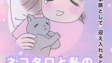 ネコタロと私の６年間〜動物を家族として迎える事〜