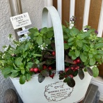 Four Seasons　四季の移ろい