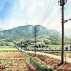 シニアから始めた透明水彩画