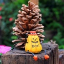 【カラーカード＆ブログ】10/30(木)　バスの中での優しい譲り合い　JADE 【癒しのメッセージ】