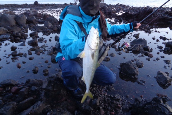 津軽 オモシェ な 釣り