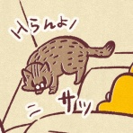 藻本とサムシングのはなし。