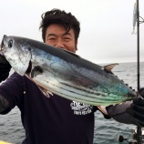 『9月4日 釣果 こうりょう丸 カツオ!!』の画像