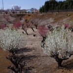 ちゃっぷの温泉・ハイキングブログ
