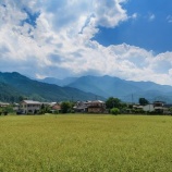 『【朗報】若者、気付く「あれ、東京より田舎の方が住みやすくね？」 → 移住相談が急増』の画像