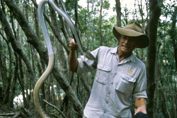 ヘビの番人 共食いするマムシ 徒然 あさやんの史記と四季