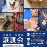 『7月度　保護犬・保護猫譲渡会開催のお知らせ』の画像