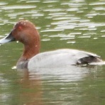 長居公園ご案内