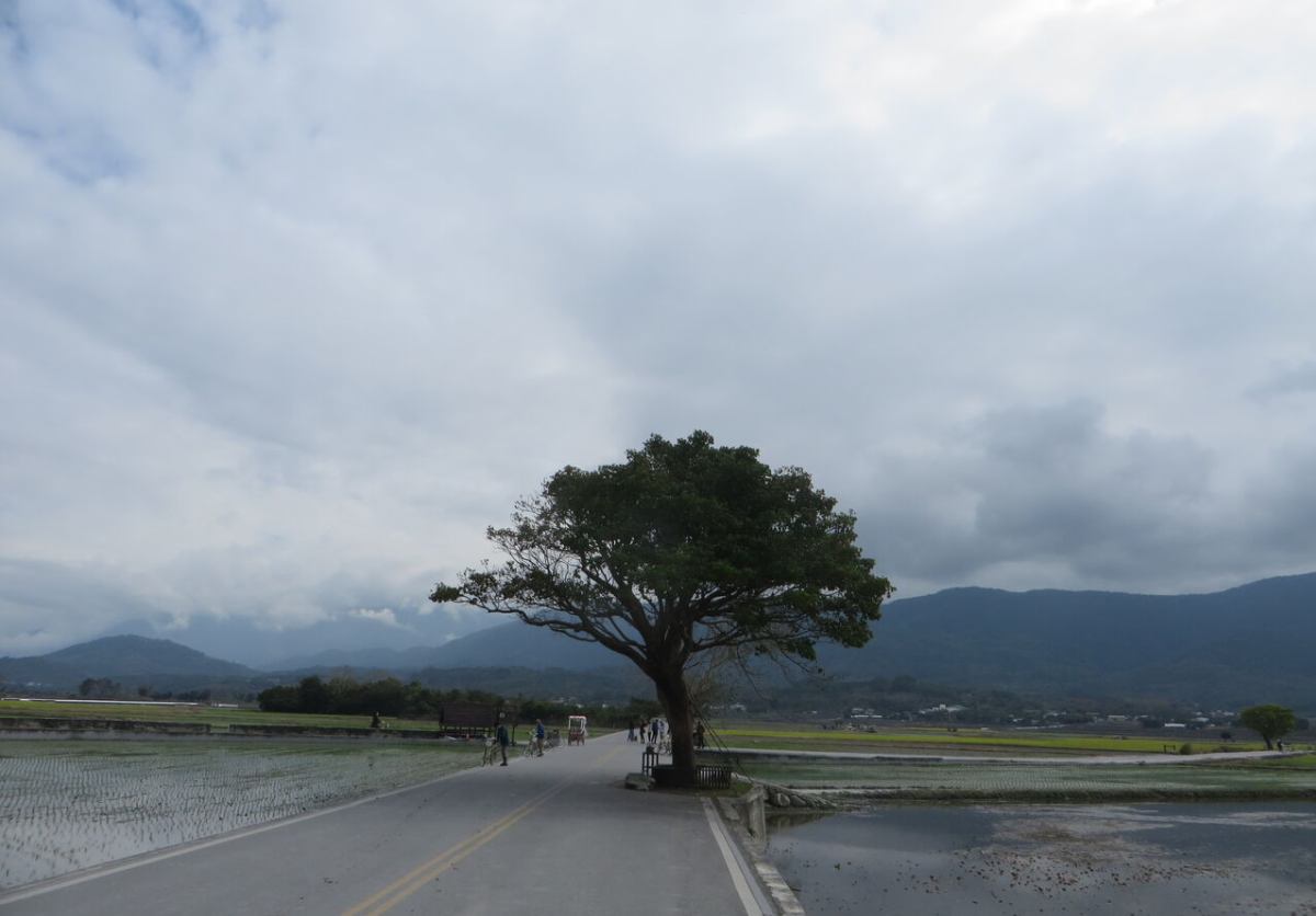 捜神記 相思樹 神話伝説ふしぎ草紙 捜神記 相思樹 神話伝説ふしぎ草紙