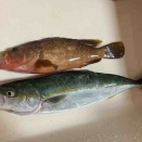 赤と青