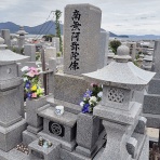 ラッキーの日記と、パパのカメブラ散歩