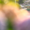 逆光