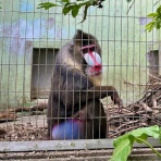 カイエのまにまに自由帳（旧 蓼食う虫もテキサス）