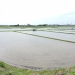 市原市に憲法と地方自治を活かす会